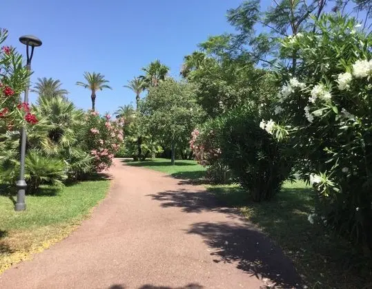 Doppia Superior uso singolo, 1 letto matrimoniale, balcone, con vista parco o mare
