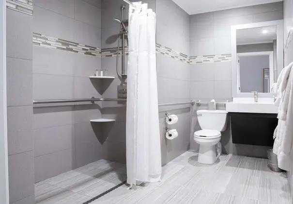 Oda, 1 Büyük (Queen) Boy Yatak, Engellilere Uygun (Mobility, Roll-In Shower)