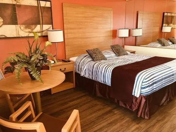 Standard Oda, 1 Büyük (Queen) Boy Yatak, Sigara İçilmez