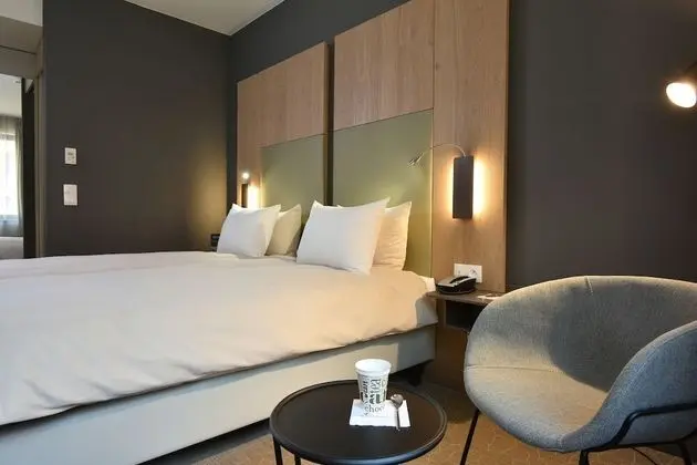 Standard Tek Büyük Yataklı Oda, 1 Büyük (Queen) Boy Yatak