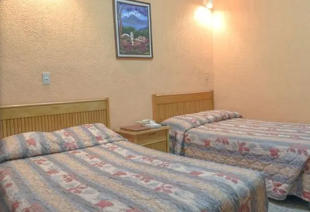 Standard Tek Büyük Yataklı Oda, 2 Çift Kişilik Yatak