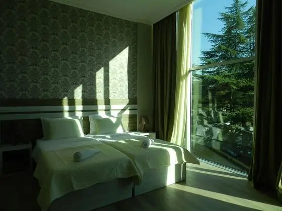 Panoramic Tek Büyük veya İki Ayrı Yataklı Oda, Birden Çok Yatak, Engellilere Uygun