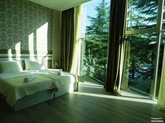Panoramic Tek Büyük veya İki Ayrı Yataklı Oda, Birden Çok Yatak, Engellilere Uygun
