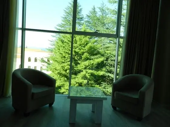 Panoramic Tek Büyük veya İki Ayrı Yataklı Oda, Birden Çok Yatak, Engellilere Uygun, Balkon