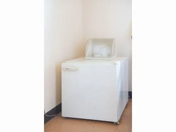 Traditional Oda, Sigara İçilmez (Japanese Style Room)