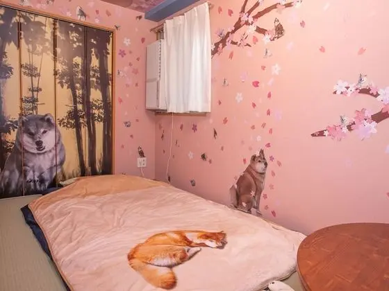 Tek Kişilik Oda, Japon Şiltesi