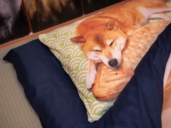 Tek Kişilik Oda, Japon Şiltesi