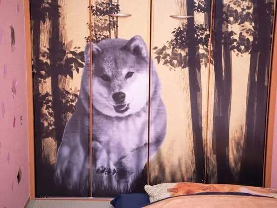 Tek Kişilik Oda, Japon Şiltesi