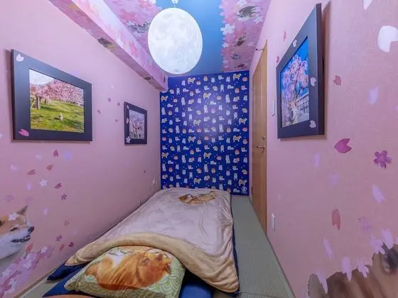 Tek Kişilik Oda, Japon Şiltesi