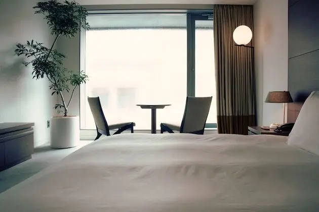 Standard Oda, 1 En Büyük (King) Boy Yatak, Sigara İçilmez (New Bld. Free access to 24h lounge)