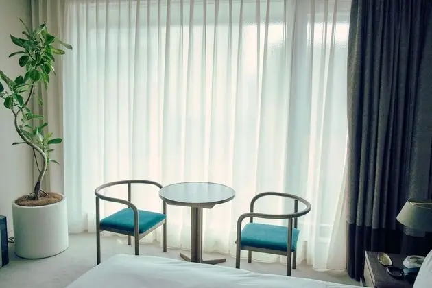 Standard Oda, 1 En Büyük (King) Boy Yatak, Sigara İçilmez (New Bld. Free access to 24h lounge)