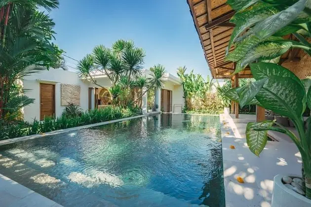 Basic Villa, Birden Çok Yatak