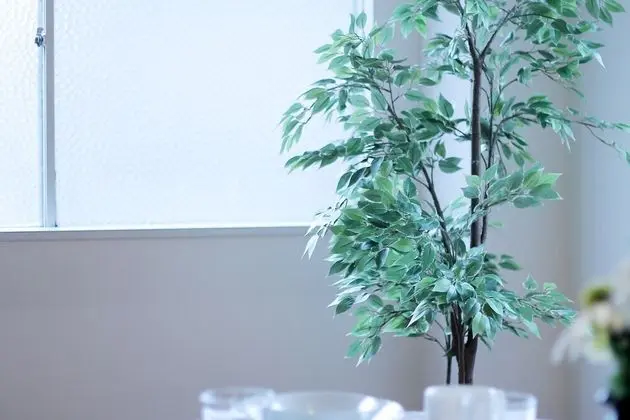 Apart Daire, 2 Yatak Odası, Sigara İçilmez