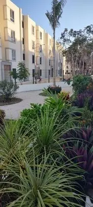 Apart Daire, 2 Yatak Odası, Mikrodalga