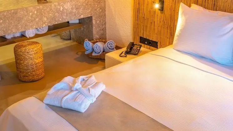 Standard Queen Room
