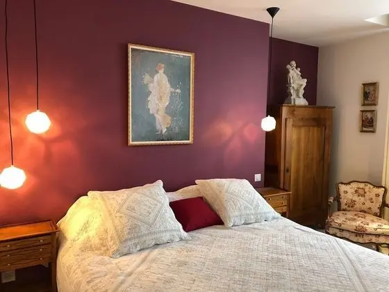 Deluxe Tek Büyük Yataklı Oda (La Chambre Rose)