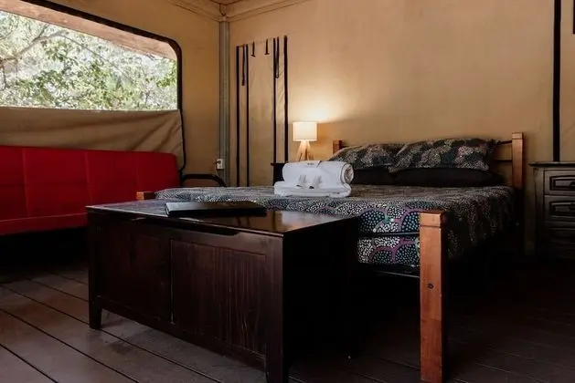 Çadır (Safari)