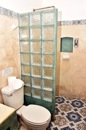 Traditional Tek Büyük Yataklı Oda, Özel Banyo