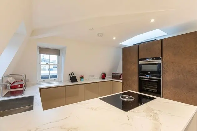 Çatı Katı Süiti (Penthouse), Banyolu/Duşlu