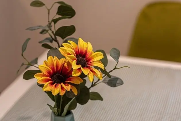 Superior Apart Daire, Banyolu/Duşlu