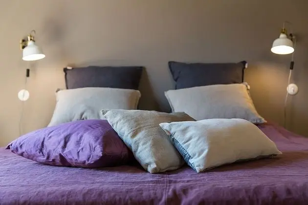 Superior Tek Büyük veya İki Ayrı Yataklı Oda, Bahçe Manzaralı