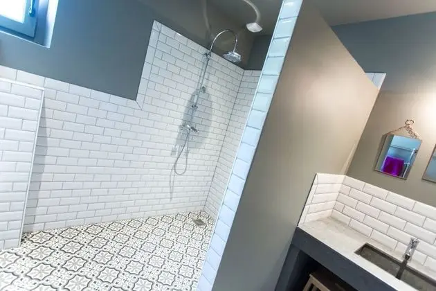 Superior Tek Büyük veya İki Ayrı Yataklı Oda, Bahçe Manzaralı