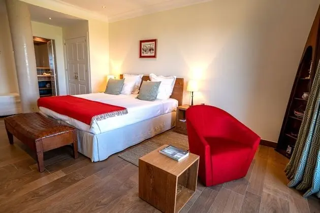 Superior Tek Büyük Yataklı Oda, 1 En Büyük (King) Boy Yatak