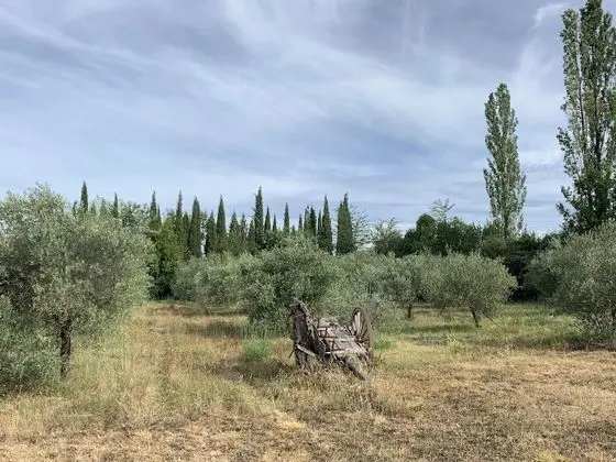 Family Kır Evi, Banyolu/Duşlu (Mas complet)