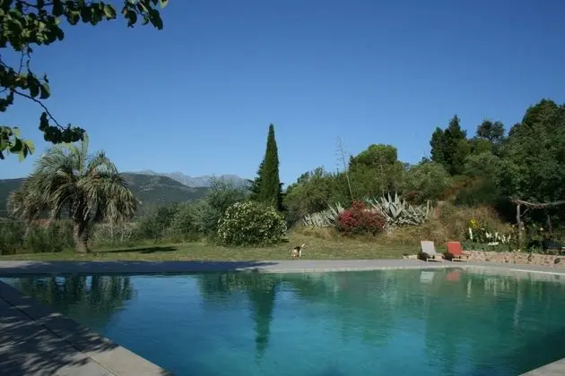 Deluxe Apart Daire, Özel Banyo (Tower)