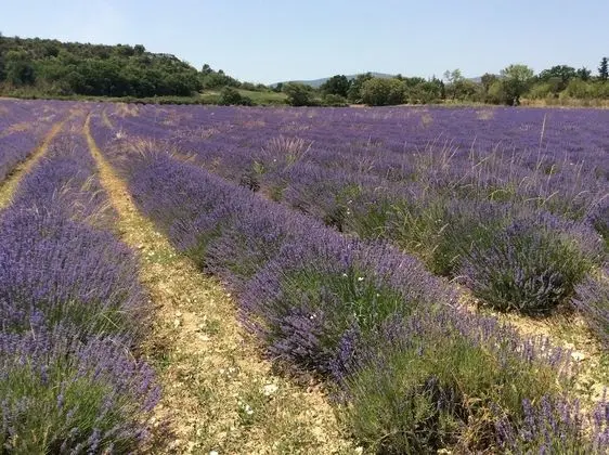 Ev, Banyolu/Duşlu (Grand Vallen - Le Mas )
