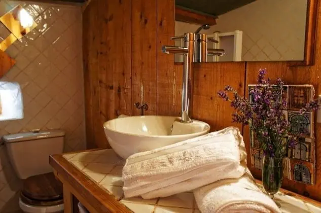 Tek Büyük veya İki Ayrı Yataklı Oda (Chambre Châtaignier)