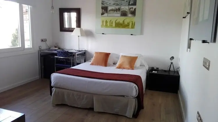 Basic Tek Büyük Yataklı Oda (Modernista)