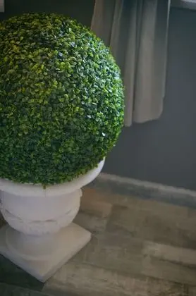 Deluxe Oda (Lacoste)