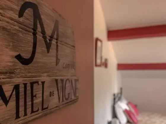 Standard Tek Büyük Yataklı Oda (Verveine)
