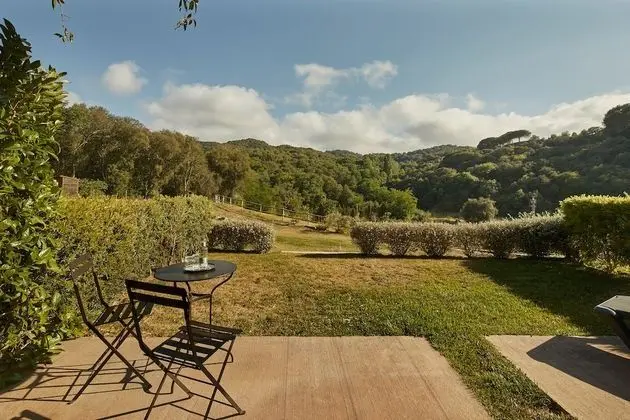 Süit (Masia)