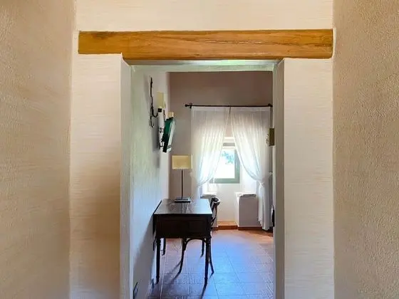Süit