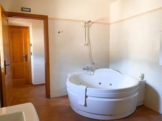 Süit