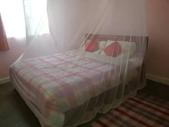 Standard Tek Kişilik Oda, 1 Tek Kişilik XL Yatak
