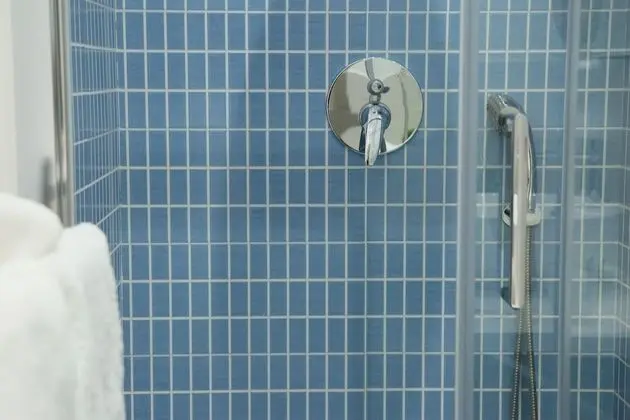 Classic Tek Büyük veya İki Ayrı Yataklı Oda, Avlu Manzaralı