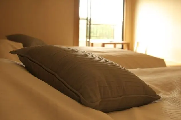 İki Ayrı Yataklı Oda (Modern twin room with tatami area)