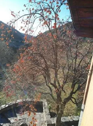 Tek Büyük Yataklı Oda, Dağ Manzaralı