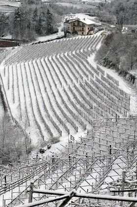 Superior Dört Kişilik Oda