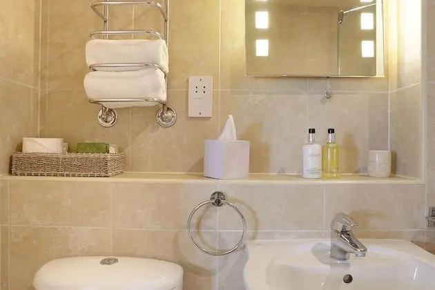 Tek Büyük Yataklı Oda, Banyolu/Duşlu (Shower only)