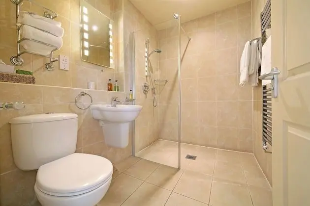 Tek Büyük Yataklı Oda, Banyolu/Duşlu (Shower only)