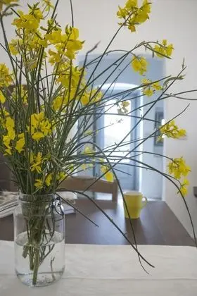 Süit, 3 Yatak Odası (Fico d'India)