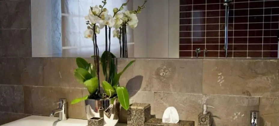 Traditional Apart Daire, Birden Çok Yatak