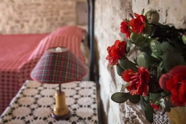 Standard Tek Büyük Yataklı Oda, 1 Büyük (Queen) Boy Yatak