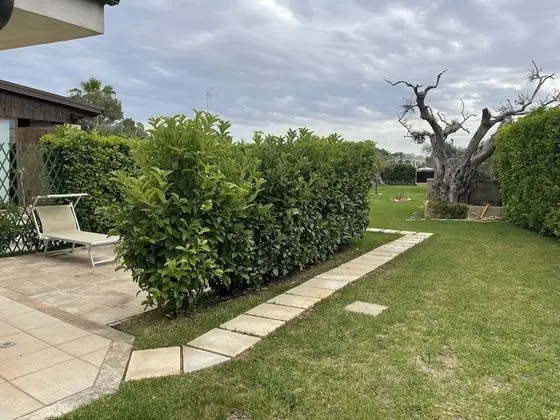 Classic Tek Büyük Yataklı Oda, Veranda