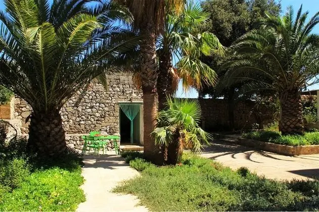 Comfort Stüdyo (Pajara)