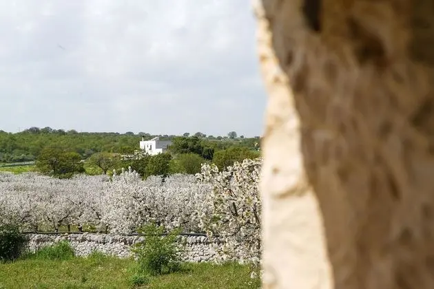 Ev, 1 Yatak Odası, Banyolu/Duşlu (Casa Forlì)